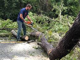 Best Aeration Services  in Elkhart Lake, WI