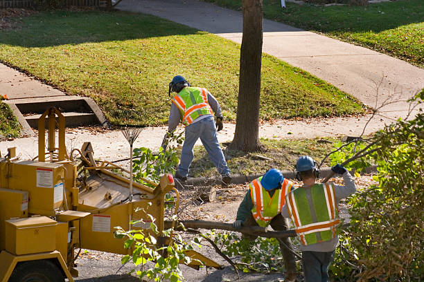 Best Organic Lawn Care Solutions  in Elkhart Lake, WI