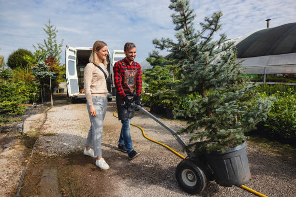 Best Tree Trimming and Pruning  in Elkhart Lake, WI